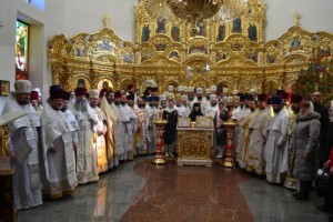 image (55)